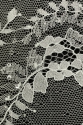 CYG HFY 007