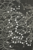 CYG HFY 014
