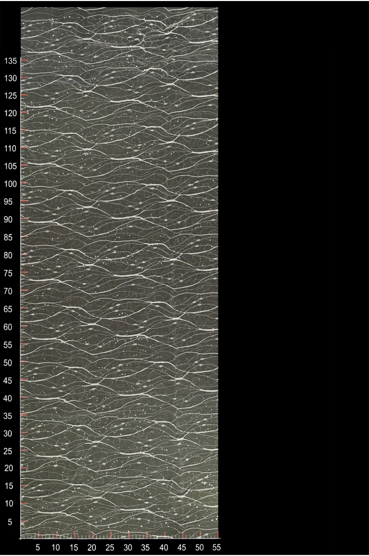 CYG HFY 019