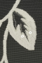 ML504849