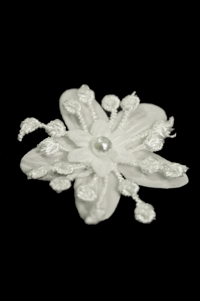  CYG FLOWER TY71
