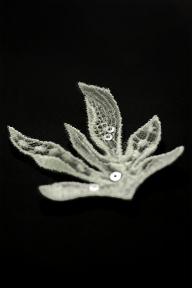  CYG FLOWER TY72