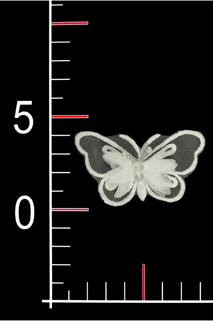 CYG KWIAT TY71