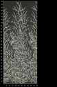 ML570009