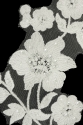 ML709164