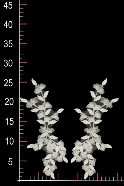 MOTIF 3D WA26332
