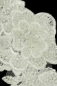 ML709572