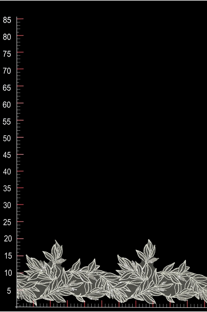 WT14755