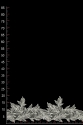 WT14755