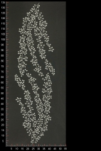 ML503641
