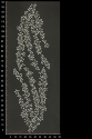 ML503641