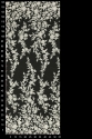 VL074