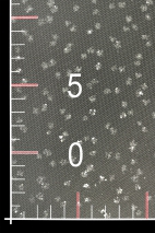 TULLE WITH GLITTER VOTIUL ŁUSKA