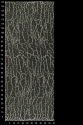 W35666