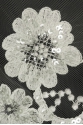 ML505321