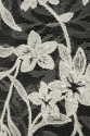 ML505338