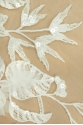 YOL00985 ALMOND
