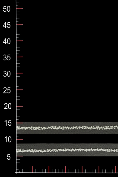 WT11040