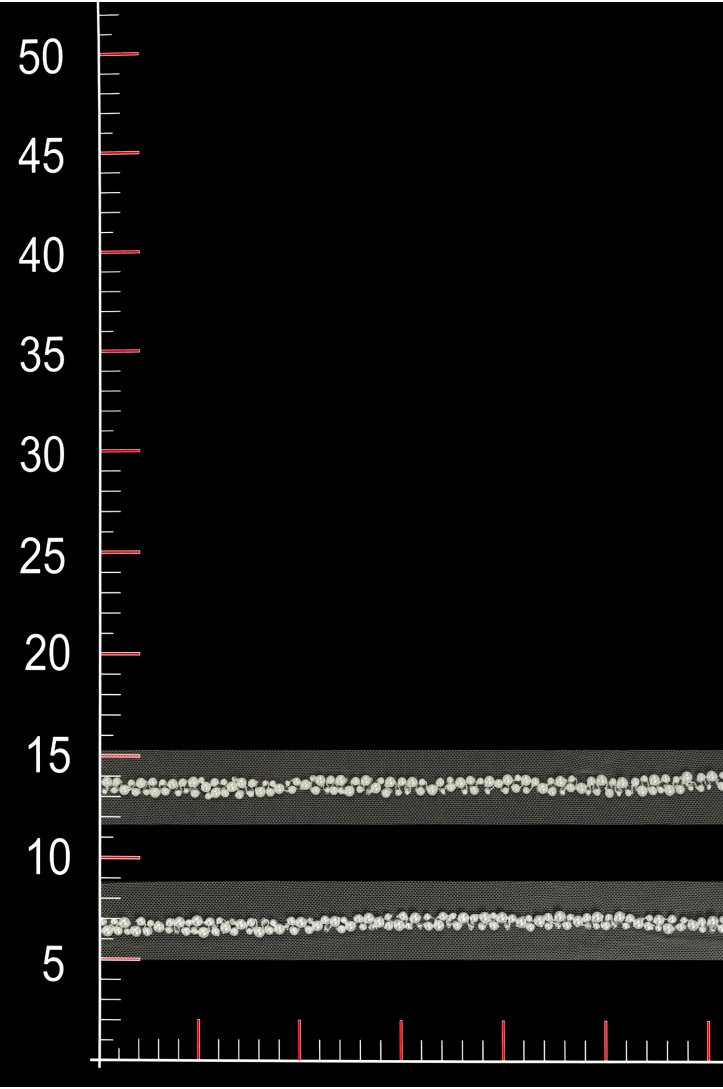 WT11040