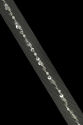 WT11059