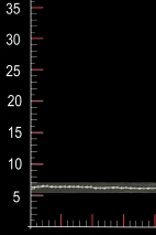 WT11067