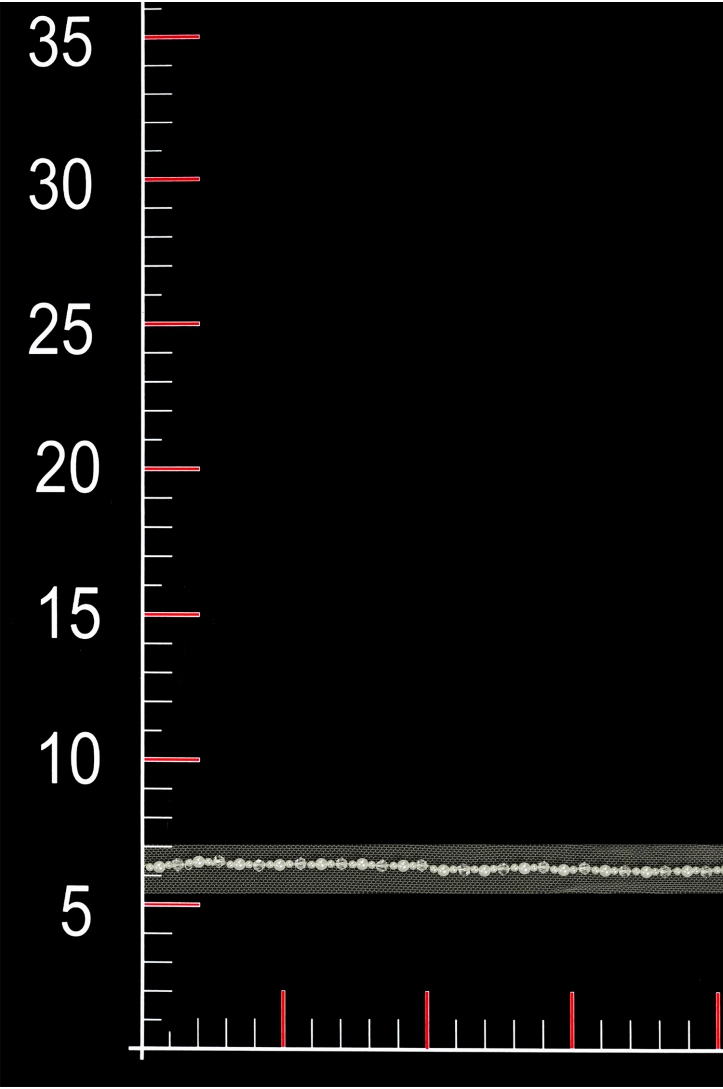 WT11067