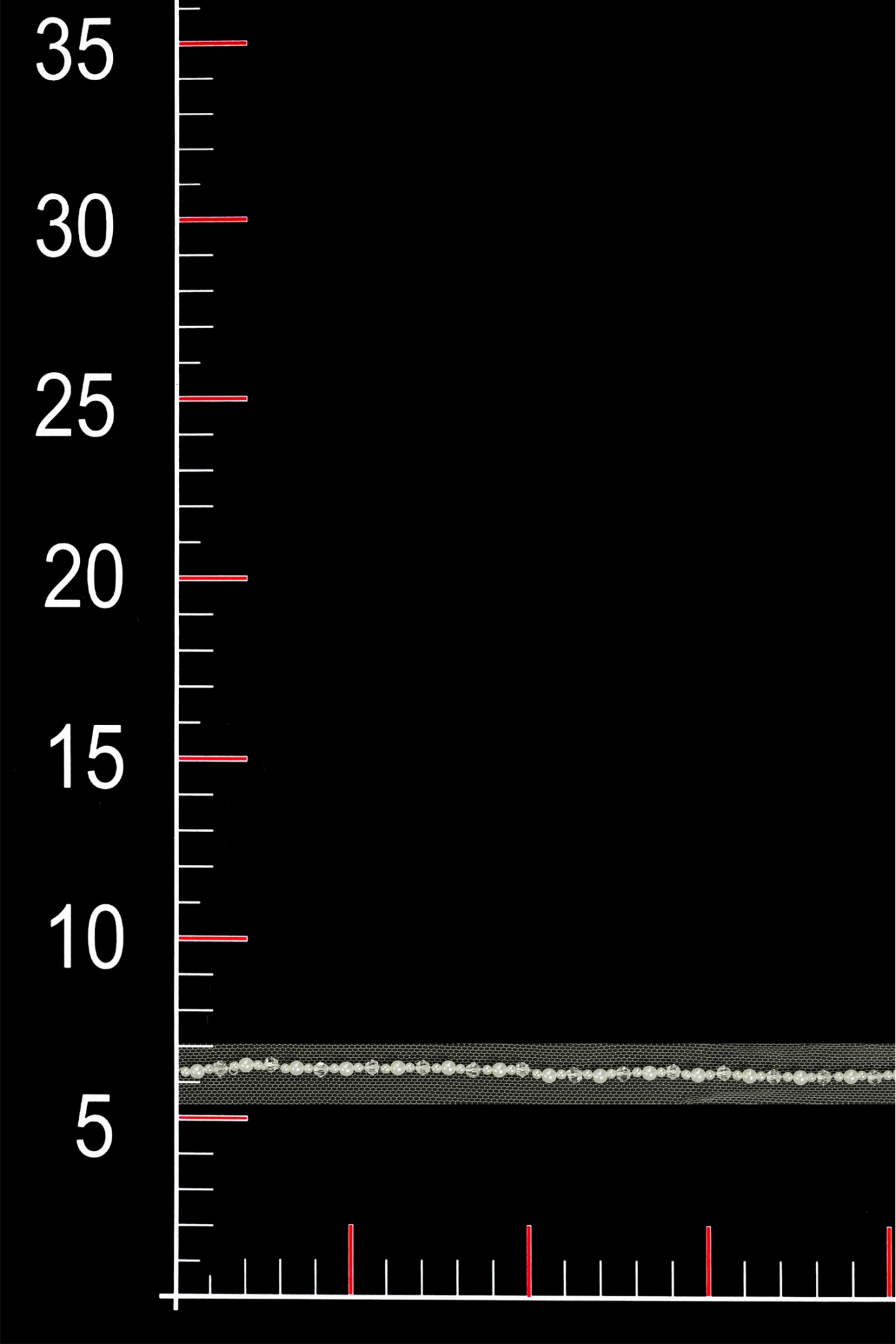 WT11067