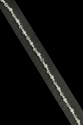 WT11067