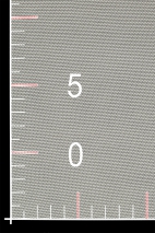 ELASTIC TULLE W220