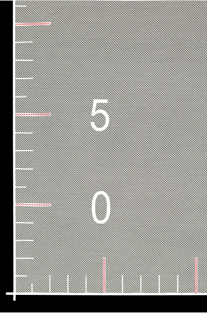 ELASTIC TULLE W220