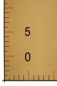 ELASTISCHER TÜLL W220