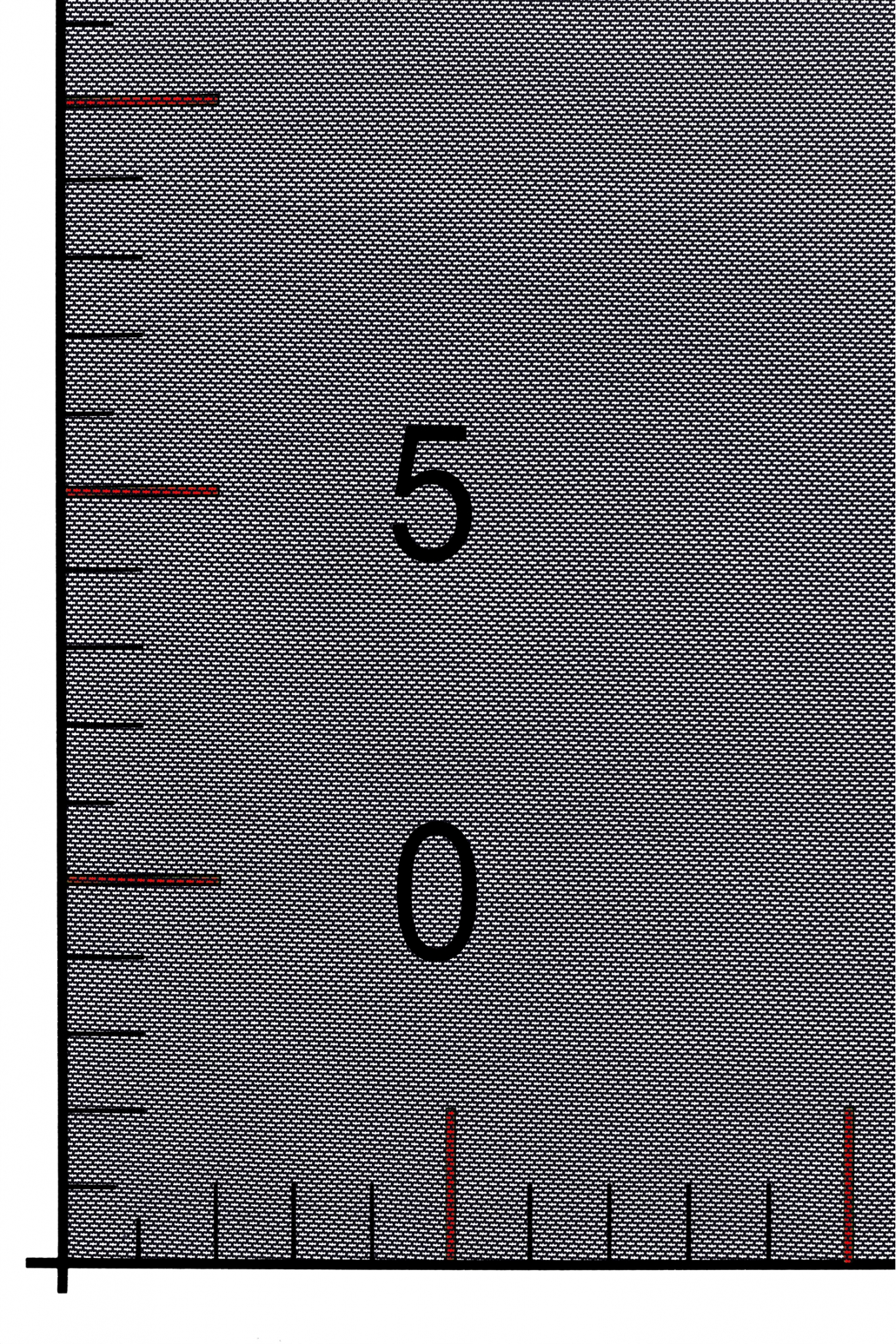 ELASTISCHER TÜLL W220