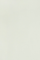 ORGANZA, IMITATION SILK MLORG80