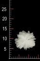 KWIAT 0223