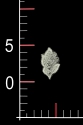 KWIAT 6507