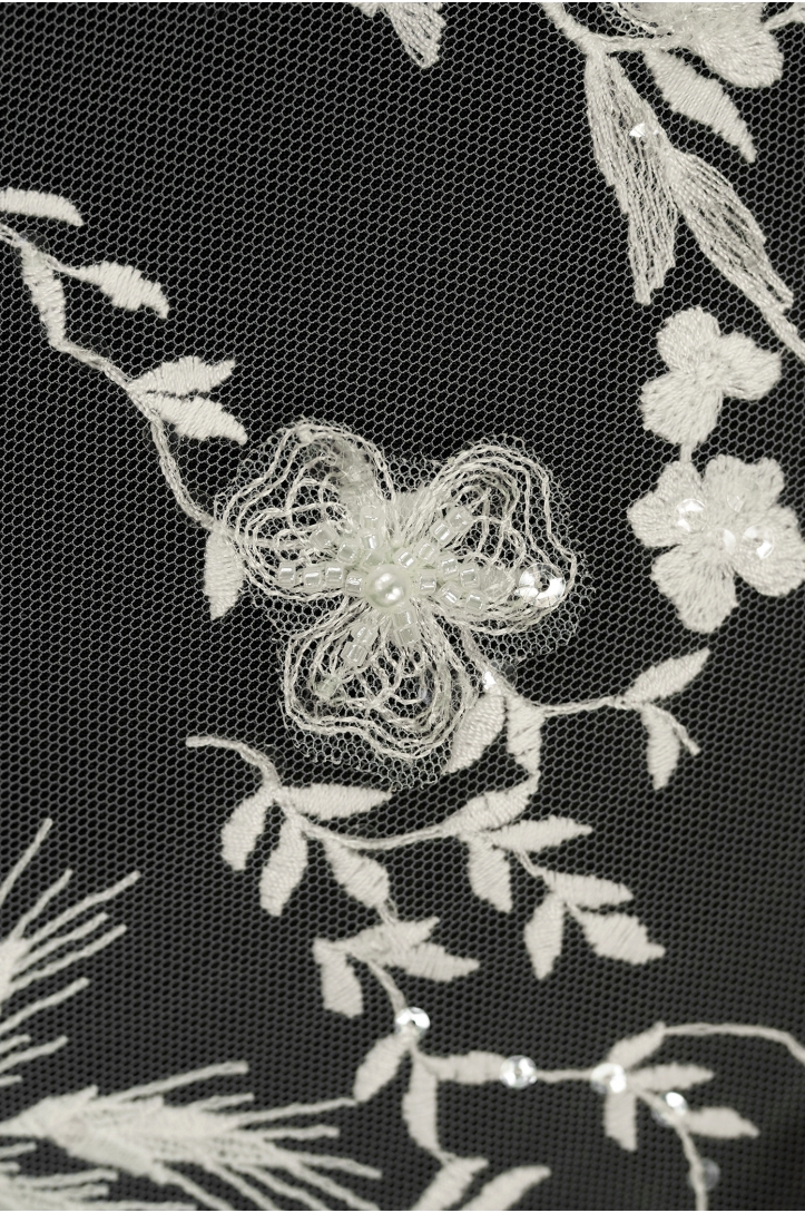ML504520
