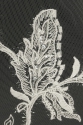 ML505062