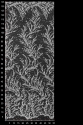 ML505323