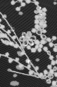 ML505323