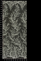 ML505323