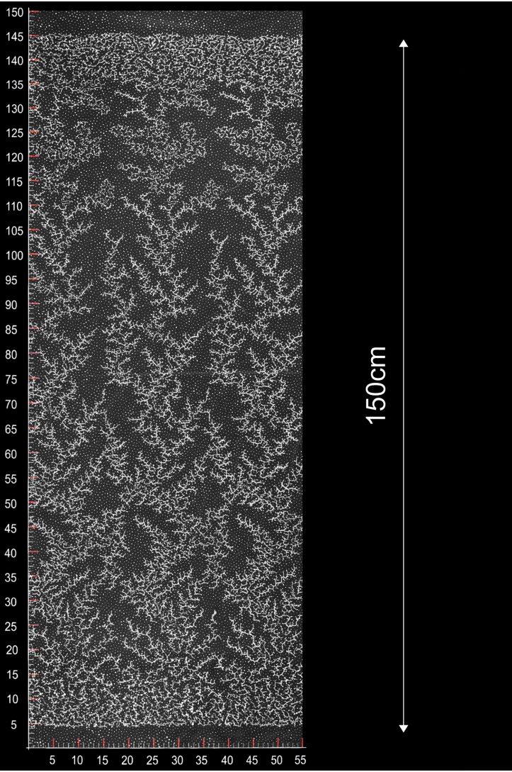 ML505289