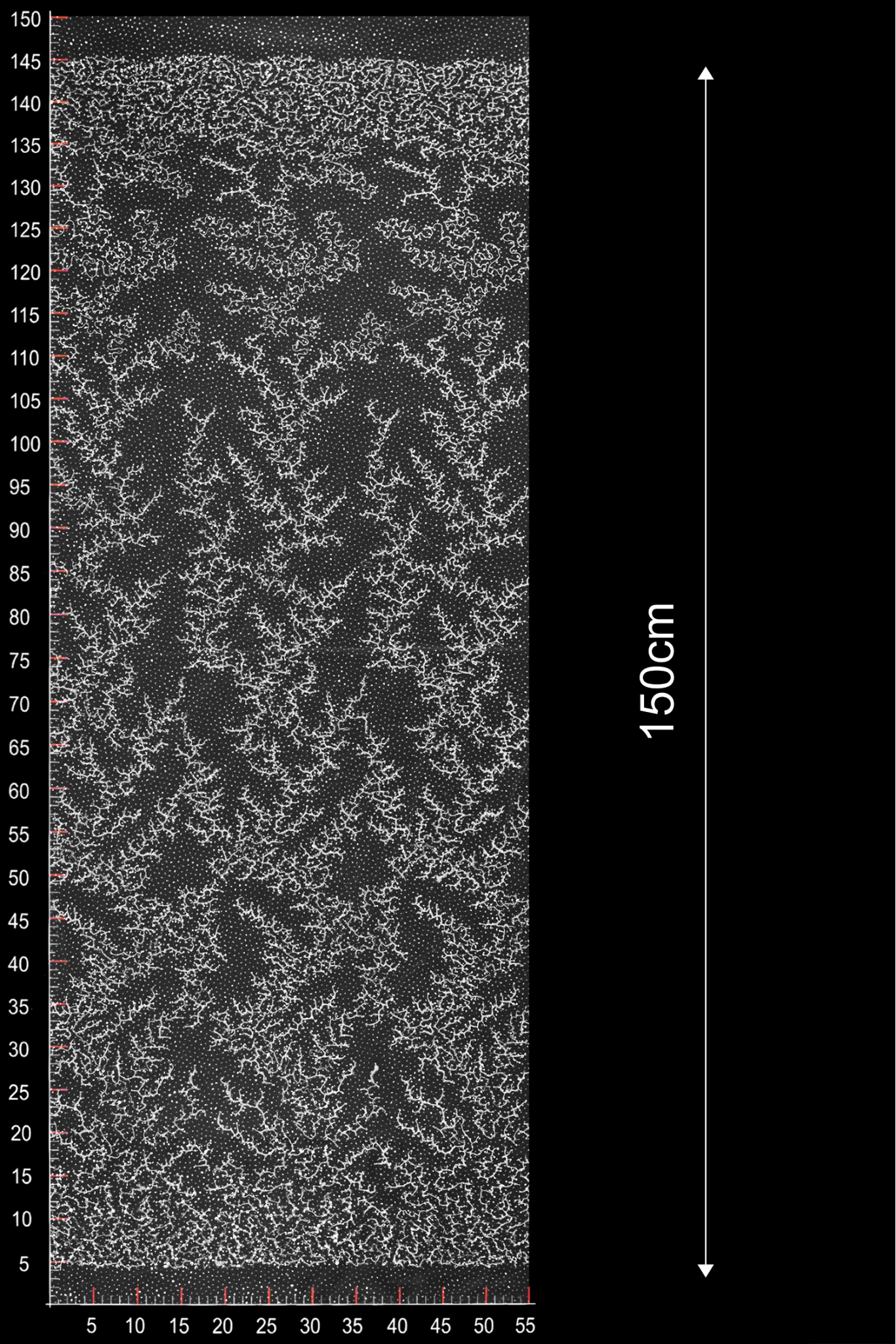 ML505289