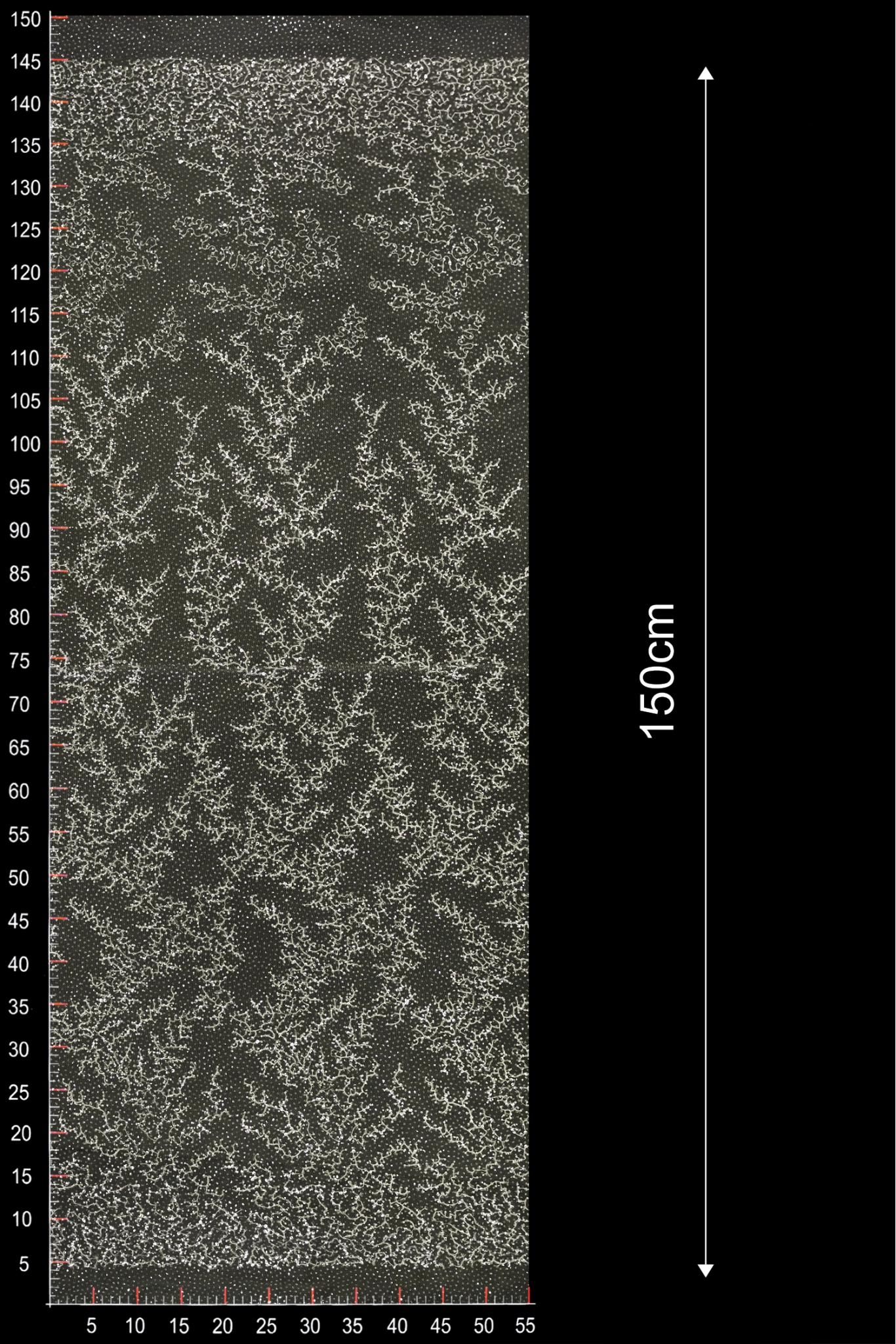ML505289