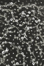 ML505289