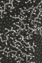 ML505289