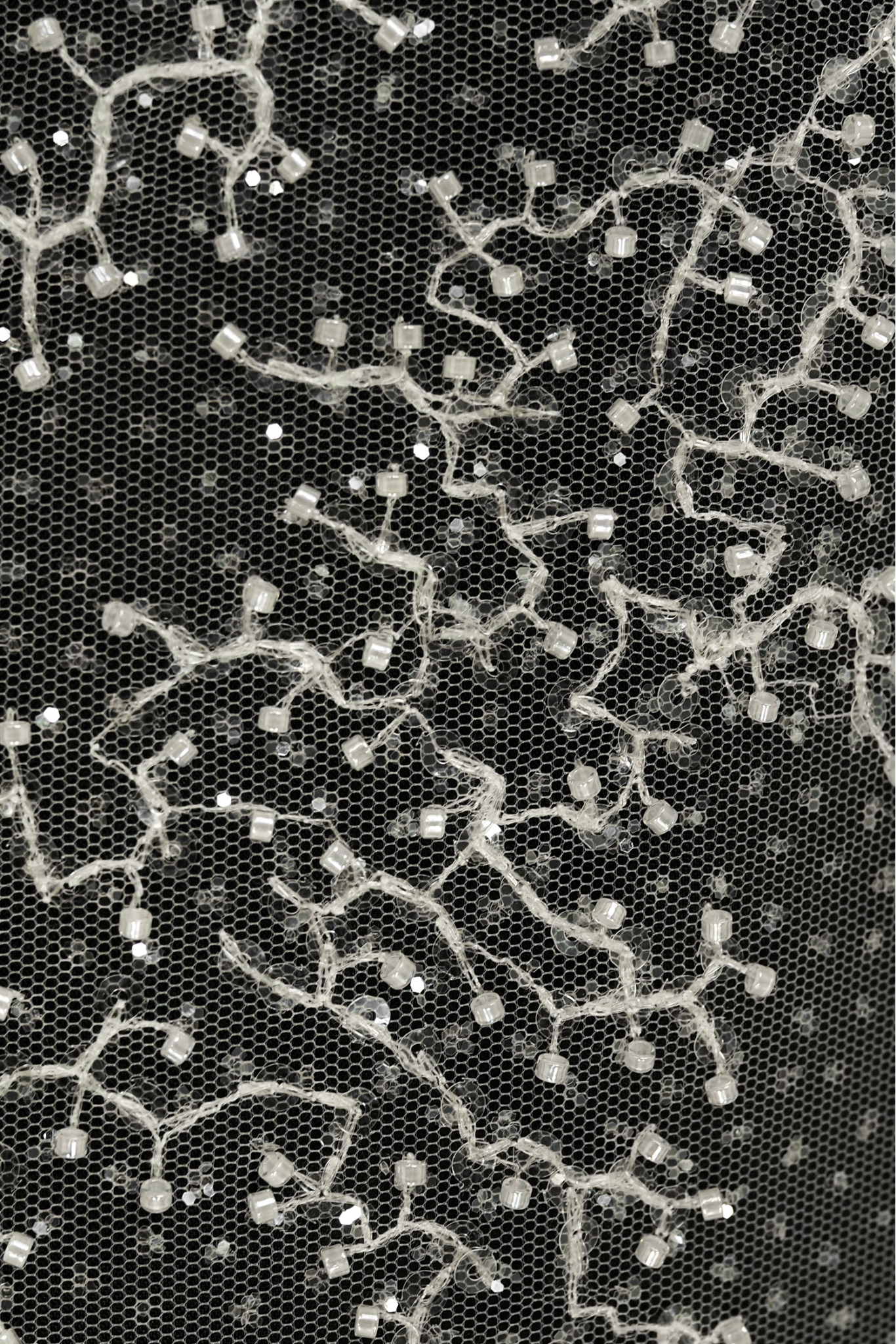 ML505289