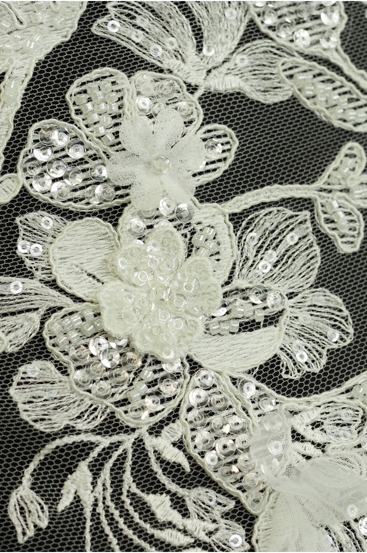 W52445
