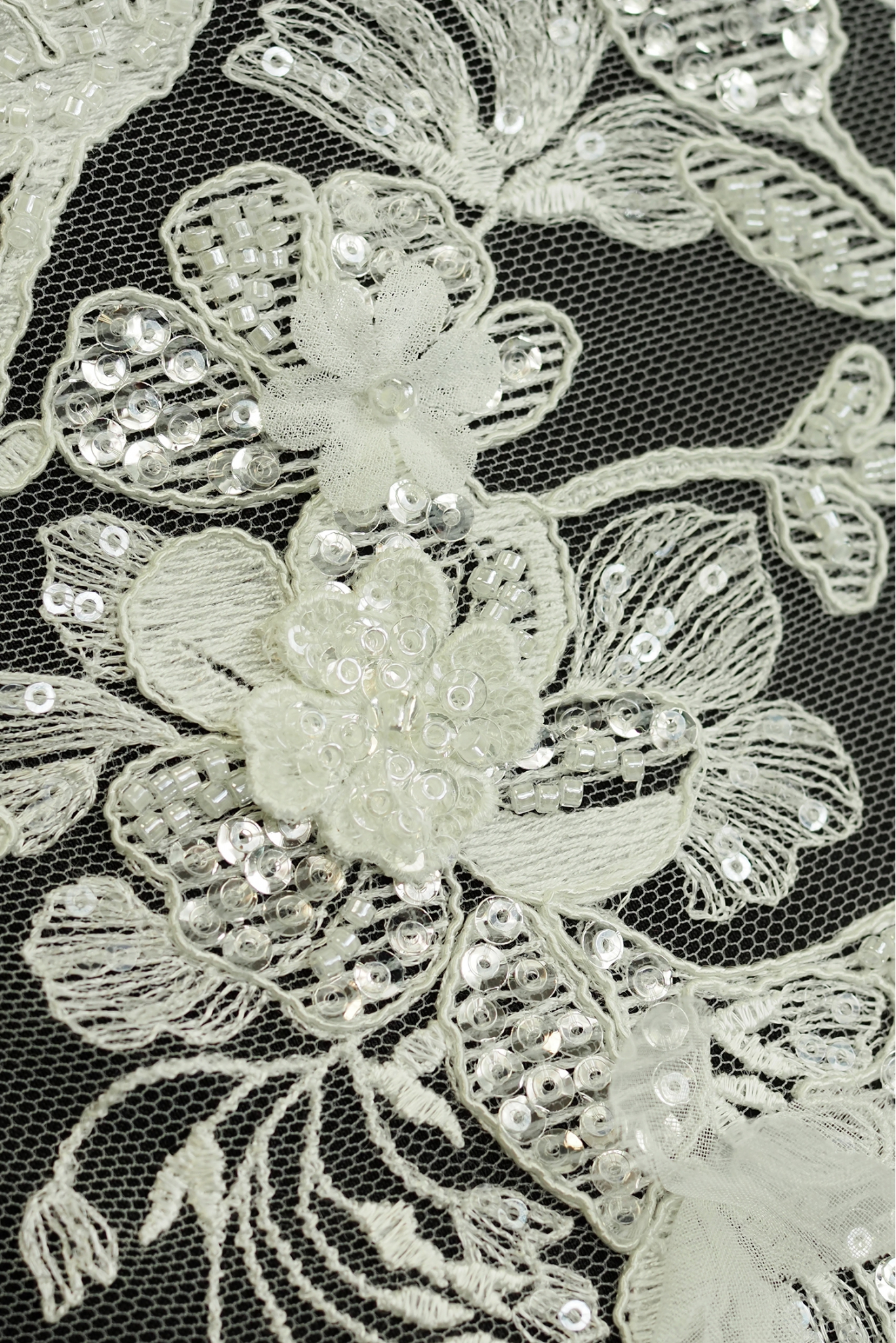 W52445