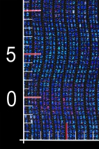 DÜNNE STRICKWARE MIT HOLO C389