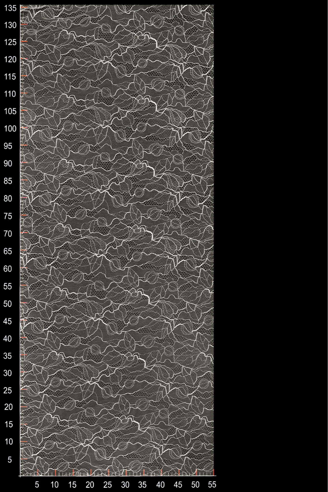 ML504772
